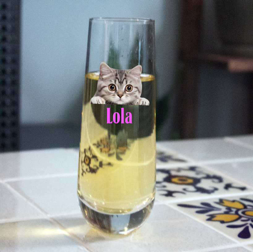 Personalized Stemless Champagne Flutes Custom Champagne Glass with Photo